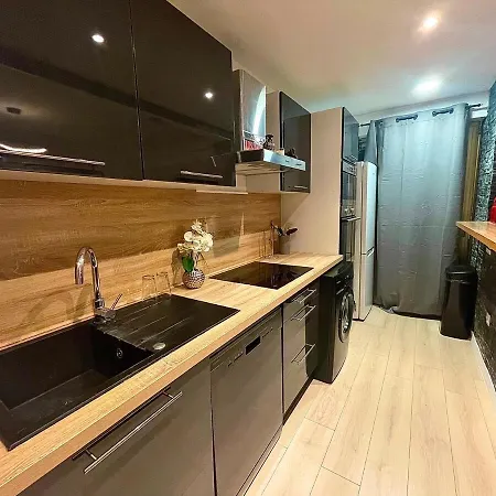 Full Furnished In Downtown With Double Ac 50m2 尼斯