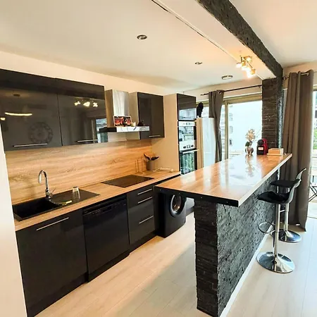 Full Furnished In Downtown With Double Ac 50m2 尼斯